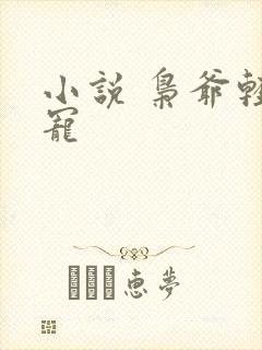 小说 枭爷轻点宠