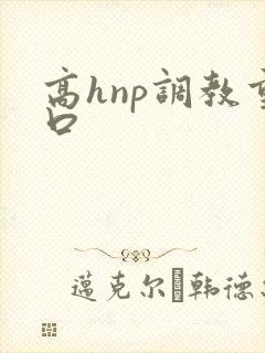 高hnp调教重口
