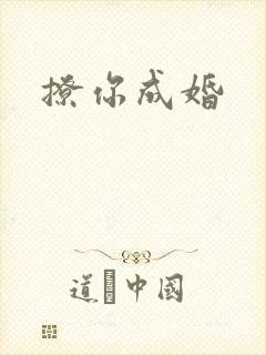 撩你成婚封面