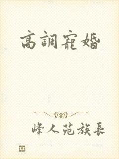 高调宠婚封面