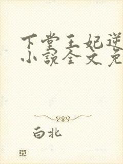 下堂王妃逆袭记小说全文免费阅读封面
