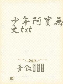 少年阿宾无删全文txt