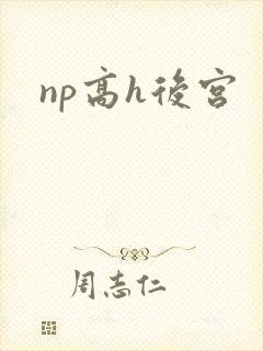 np高h后宫