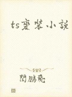 ts变装小说封面