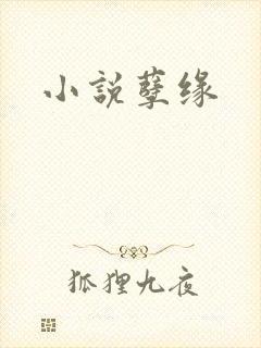 小说孽缘