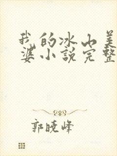 我的冰山美女老婆小说完整封面