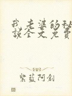 我老婆的秘密小说全文免费阅读