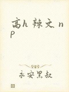 高h 辣文 np