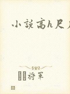 小说高h尺度大封面