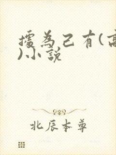 据为己有(高干)小说封面