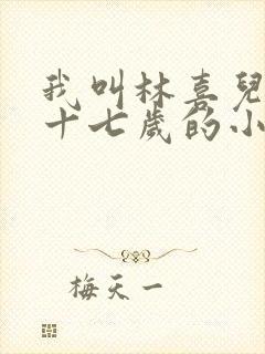 我叫林喜儿今年十七岁的小说在线阅读