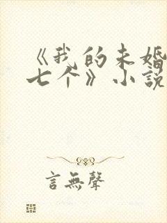 《我的未婚妻有七个》小说