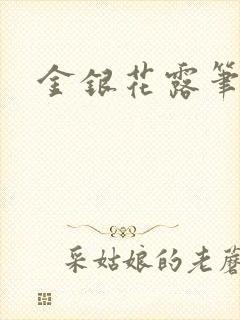 金银花露笔趣阁