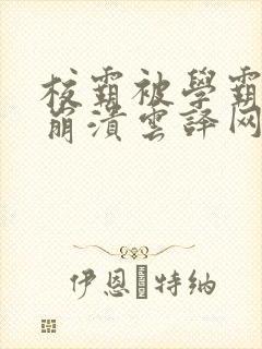 校霸被学霸玩到崩溃云译网