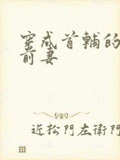 穿成首辅的炮灰前妻