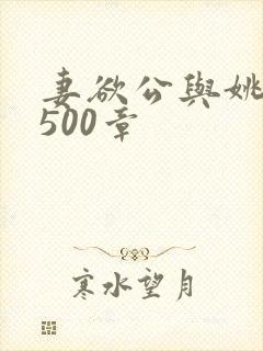妻欲公与姚瑶1500章封面
