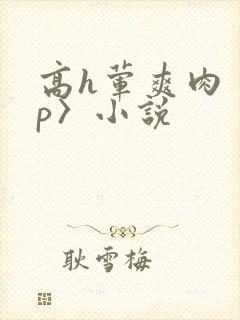 高h荤爽肉〈np〉小说封面