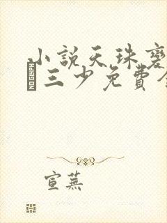 小说天珠变唐家·三少免费全文阅读下载