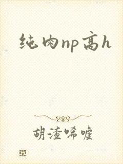 纯肉np高h