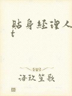 贴身经理人txt
