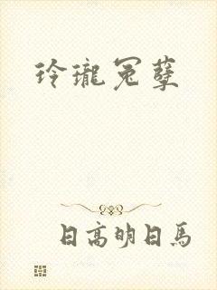 玲珑冤孽