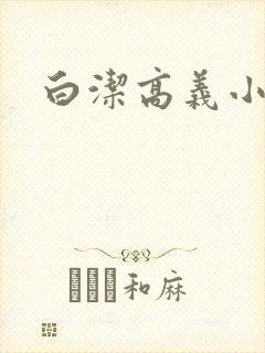 白洁高义小说封面