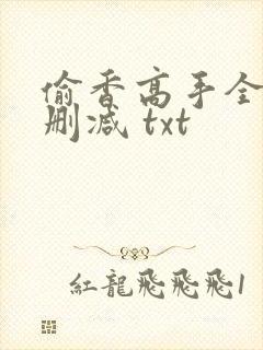 偷香高手全文无删减 txt
