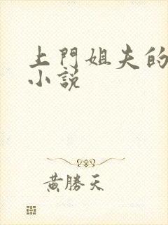 上门姐夫的全部小说