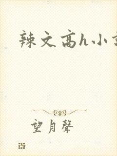 辣文高h小说封面
