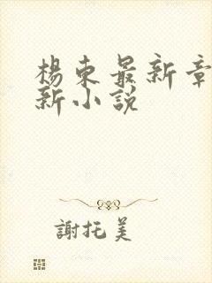 杨东最新章节更新小说