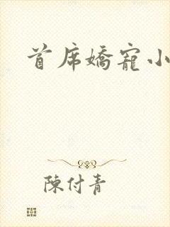 首席娇宠小情人