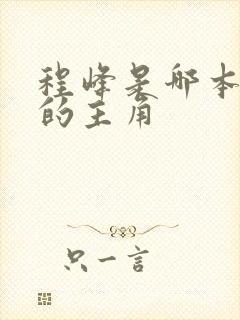 程峰是哪本小说的主角
