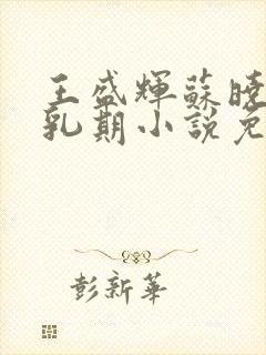 王盛辉苏晓薇哺乳期小说免费阅读全