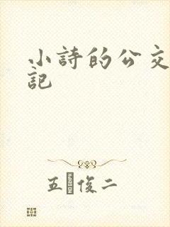 小诗的公交车日记