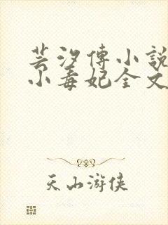 芸汐传小说天才小毒妃全文阅读封面