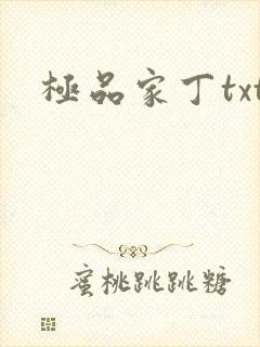 极品家丁txt