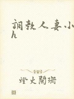 调教人妻小说高h封面