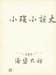 小强小说大全