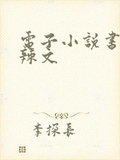 电子小说书包网辣文