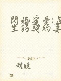 闪婚蜜爱:厉先生的契约妻