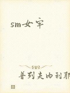 sm女牢封面