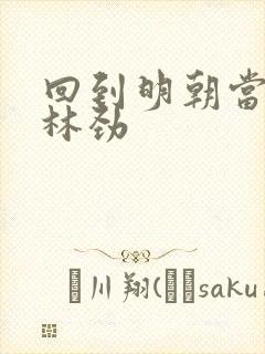 回到明朝当王爷林劲