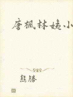 唐枫林姨小说