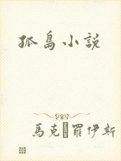 孤岛小说