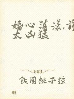 婚心荡漾,前夫太凶猛