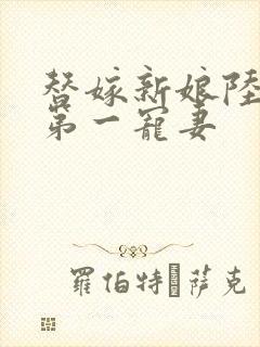 替嫁新娘陆少的第一宠妻