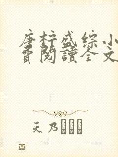 唐柠盛综小说免费阅读全文最新章节封面