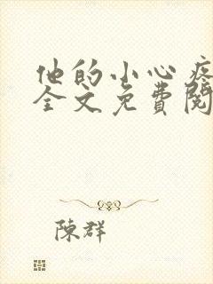 他的小心疼小说全文免费阅读