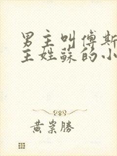 男主叫傅斯年女主姓苏的小说