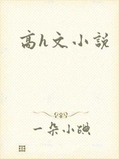 高h文小说
